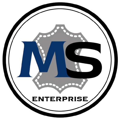 MS-Enterprise Logo